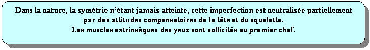 Rectangle  coins arrondis: Dans la nature, la symtrie ntant jamais atteinte, cette imperfection est neutralise partiellement par des attitudes compensatoires de la tte et du squelette.
Les muscles extrinsques des yeux sont sollicits au premier chef.
